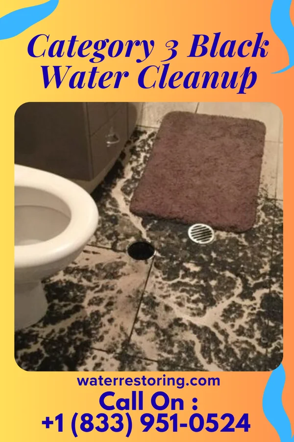 Category 3 Black Water Cleanup in Glen Alpine, NC