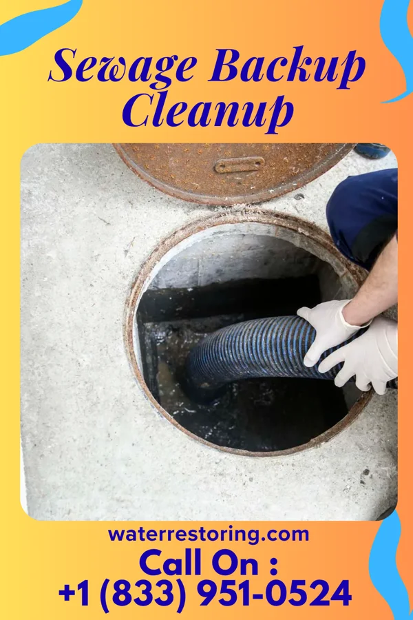 Sewage Backup Cleanup in Glen Alpine, NC