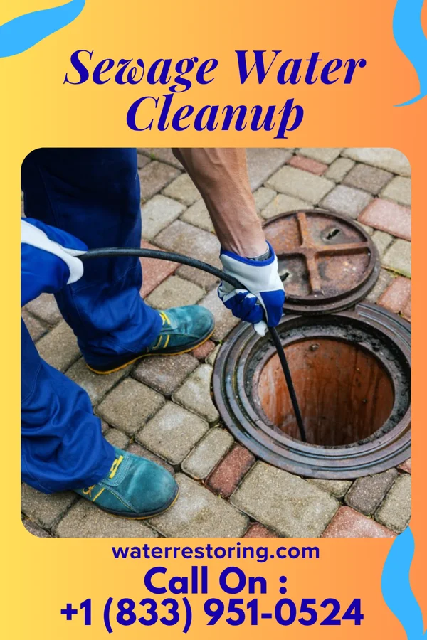 Sewage Water Cleanup in Glen Alpine, NC